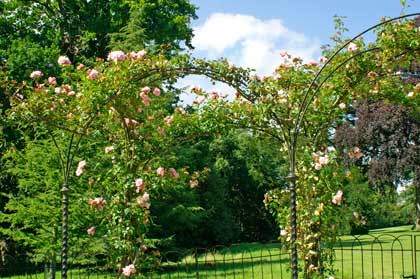 ������������ �����������. �������. ������ ������ (Blenheim Palace). ����. ��� ���