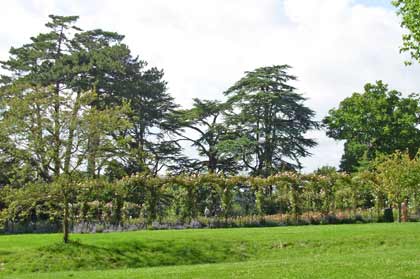 ������������ �����������. �������. ������ ������ (Blenheim Palace). ����. ��� ���