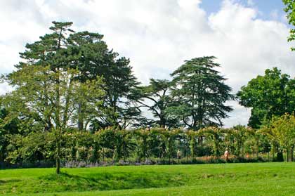 ������������ �����������. �������. ������ ������ (Blenheim Palace). ����. ������ ������ �������� � ����
