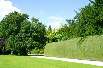 ������������ �����������. �������. ������ ������ (Blenheim Palace). ����. ������ ������ �������� � ����