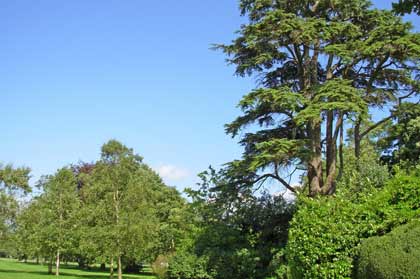 ������������ �����������. �������. ������ ������ (Blenheim Palace). ����. ������ ������ �������� � ����