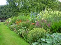 &nbsp;������������ �����������. ���������. �����. ����� �����. ��� ������ (Flower Garden).