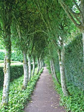 &nbsp;������������ �����������. ���������. �����. ����� �����. ���������� ��� (Walled Garden).