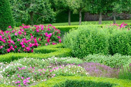 &nbsp;������������ �����������. ���������. �����. ����� �����. ���������� ��� (Walled Garden).