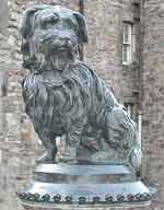 ������������ �����������. ���������. ��������. ���������� ����� (Greyfriar-Bobby).
