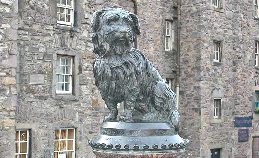 ������������ �����������. ���������. ��������. ���������� ����� (Greyfriar-Bobby).