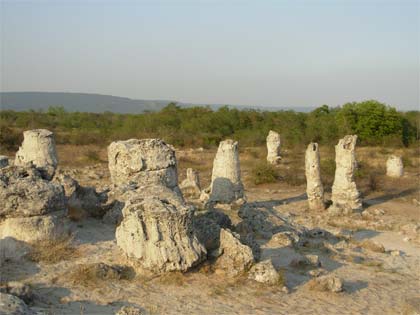 Болгария. Девня. Каменный лес