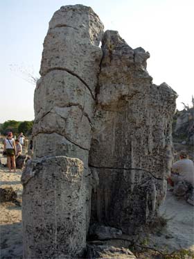 Болгария. Девня. Каменный лес