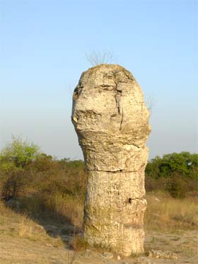 Болгария. Девня. Каменный лес
