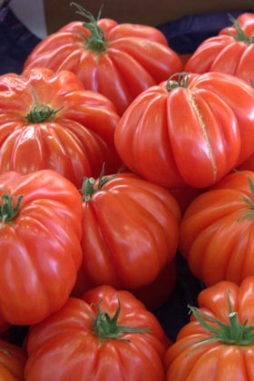 �������. ����� (Antibes). �����.