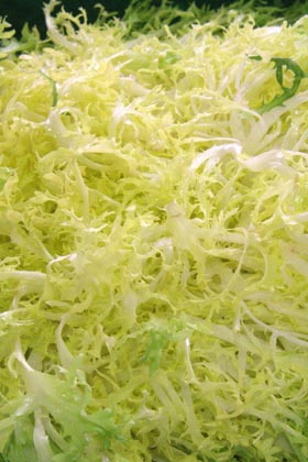 �������. ����� (Antibes). �����.