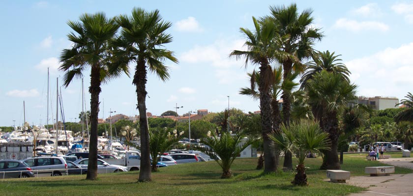 �������. ����� (Antibes). ����.