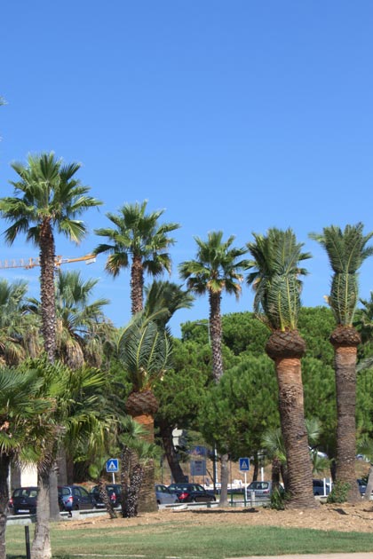 �������. ����� (Antibes). ����.